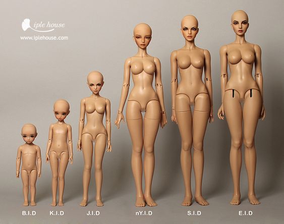to show different sized of bjd dolls